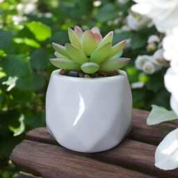 4Pcs 4.3in/11cm Artificial Plants Indoor Mini Pot Faux Succulent Plant Foliage for Coffee Table Home Bedroom Bathroom Room Decor Shelf Office Desk Kitchen Garden Indoor Outdoor - thumbnail 5
