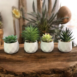 4Pcs 4.3in/11cm Artificial Plants Indoor Mini Pot Faux Succulent Plant Foliage for Coffee Table Home Bedroom Bathroom Room Decor Shelf Office Desk Kitchen Garden Indoor Outdoor - thumbnail 7