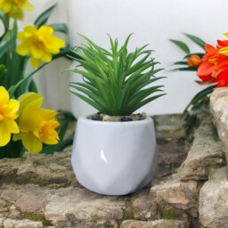 4Pcs 4.3in/11cm Artificial Plants Indoor Mini Pot Faux Succulent Plant Foliage for Coffee Table Home Bedroom Bathroom Room Decor Shelf Office Desk Kitchen Garden Indoor Outdoor - thumbnail 6