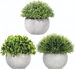 colospec Mini Artificial Plants - 3 Pcs