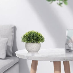 colospec Mini Artificial Plants-3 Pcs - thumbnail 7