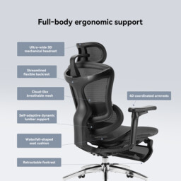 SIHOO Doro C300 Ergonomic Office Chair with Ultra Soft 3D Armrests, Dynamic Lumbar Support for Home Office, Adjustable Backrest Desk Chair with Pedal(Black) - thumbnail 3