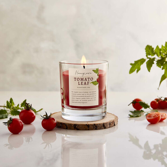 Wax Lyrical Candle Homegrown Tomato Leaf 586g - image 1