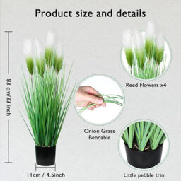 DDHS 33inch green foxtail pampas onion grass-1pcs - thumbnail 2
