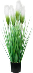 DDHS 33inch green foxtail pampas onion grass-1pcs - thumbnail 1