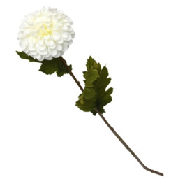 Candlelight Artificial Dahlia Flower Stem White 60cm - thumbnail 1