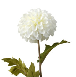 Candlelight Artificial Dahlia Flower Stem White 60cm - thumbnail 2