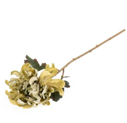 Candlelight Artificial Hydrangea Flower Stem Olive 46cm - thumbnail 3