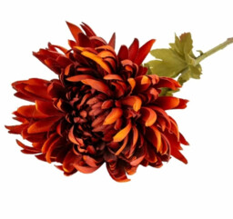 Candlelight Artificial Chrysanthemum Flower Stem Burgundy 62cm - thumbnail 1