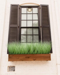 DDHS 33inch Onion Tall Grass Greenery -6pcs - thumbnail 3