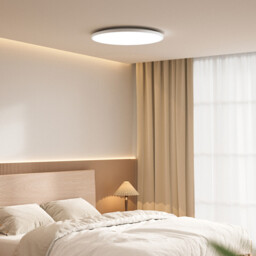 Yeelight Smart Ceiling Light Dimmable & Tunable White RG0 Eye-Safe Moonlight Mode Anti-Dust Moisture-Proof ABS+PC YLXDD-0241 - thumbnail 3