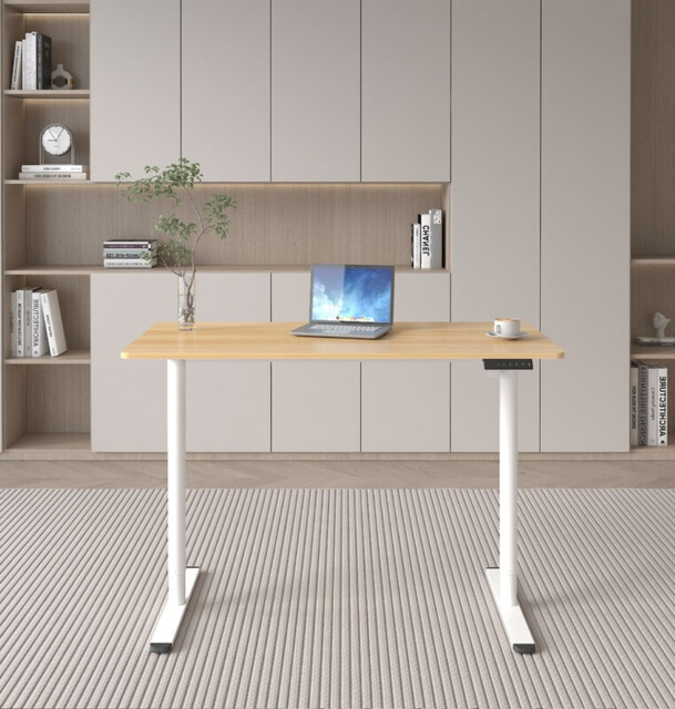 Loctek Ergonomic Standing Desk, Electric Height-Adjustable Desk, 120 x 60cm, Super Deals, Oak Top