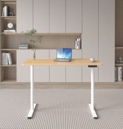 Loctek Ergonomic Standing Desk, Electric Height-Adjustable Desk, 120 x 60cm, Super Deals, Oak Top