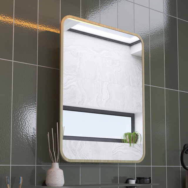 Croydex Bathroom Mirror With Storage - Stainless Steel Carcass with Gold Effect Metal Frame Mirror Door, Fully Assembled (60 x 45cm)