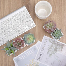 5Pcs 2.8in/7cm Artificial Succulents in Pots, False Succulents, Small Fake Plants in Pot, Mini Fake Plants in White Pots, Desk Plant for Home, Bathroom, Small Spaces - thumbnail 6