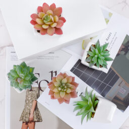 5Pcs 2.8in/7cm Artificial Succulents in Pots, False Succulents, Small Fake Plants in Pot, Mini Fake Plants in White Pots, Desk Plant for Home, Bathroom, Small Spaces - thumbnail 3