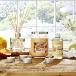 Wax Lyrical Candle Colony Summertime Splash 475g - thumbnail 3