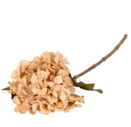 Candlelight Artificial Hydrangea Flower Stem Peach 46cm - thumbnail 2