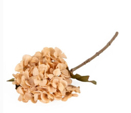 Candlelight Artificial Hydrangea Flower Stem Peach 46cm - thumbnail 1