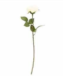 Candlelight Artificial Rose Flower Stem Cream 54cm - thumbnail 1
