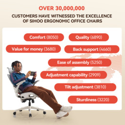 SIHOO B100 Ultra Ergonomic Office Chair， Mesh Office Chair with Adaptive Lumbar Support， Computer Chair with Wide Headrest， Desk Chair with 360° Rotatable Flip-Up Armrests， Light Grey - thumbnail 3