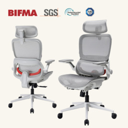 SIHOO B100 Ultra Ergonomic Office Chair， Mesh Office Chair with Adaptive Lumbar Support， Computer Chair with Wide Headrest， Desk Chair with 360° Rotatable Flip-Up Armrests， Light Grey - thumbnail 1
