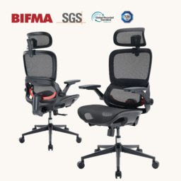SIHOO B100 Ultra Ergonomic Office Chair， Mesh Office Chair with Adaptive Lumbar Support， Computer Chair with Wide Headrest， Desk Chair with 360° Rotatable Flip-Up Armrests， Ebony - thumbnail 1