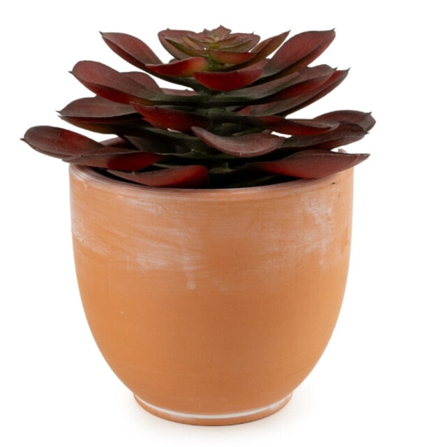 Candlelight Artificial Brown Echeveria Succulent in Terracotta Effect Pot 13cm - image 1