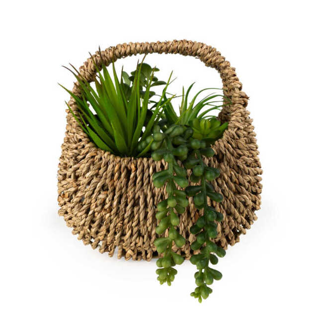 Candlelight Artificial Succulents in Woven Basket 20cm - image 1