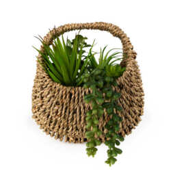 Candlelight Artificial Succulents in Woven Basket 20cm - thumbnail 1