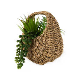 Candlelight Artificial Succulents in Woven Basket 20cm - thumbnail 2