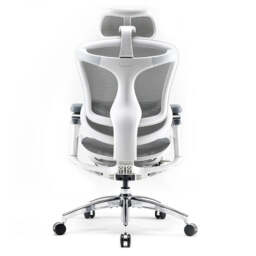 SIHOO Doro C300 Pro Ergonomic Office Chair with Ultra-Soft 6D Armrests, Dynamic Lumbar Support, Seat Depth Adjustment and Adjustable Backrest Desk Chair for Home Office (White) - thumbnail 6