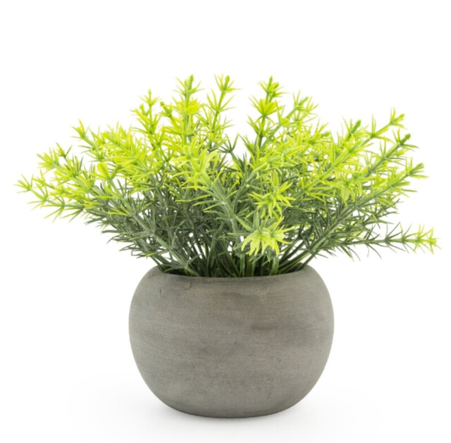 Candlelight Artificial Rosemary Plant in Concrete Effect Pot 15cm - image 1