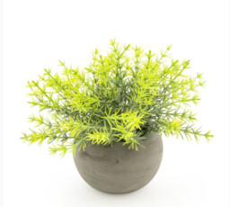 Candlelight Artificial Rosemary Plant in Concrete Effect Pot 15cm - thumbnail 3