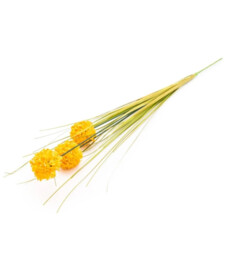 Candlelight Artificial Billy Button Grass Stem Yellow 68cm - thumbnail 1