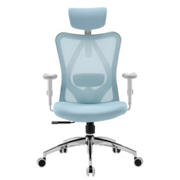Sihoo M18 Ergonomic Office Chair, Computer Desk Chair with Adjustable Headrest and Lumbar Support, High Back Executive Swivel Chair for Home Office (Morandi Blue)