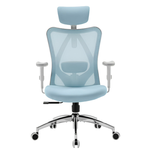 Sihoo M18 Ergonomic Office Chair, Computer Desk Chair with Adjustable Headrest and Lumbar Support, High Back Executive Swivel Chair for Home Office (Morandi Blue) - image 1