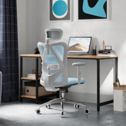 Sihoo M18 Ergonomic Office Chair, Computer Desk Chair with Adjustable Headrest and Lumbar Support, High Back Executive Swivel Chair for Home Office (Morandi Blue) - thumbnail 2