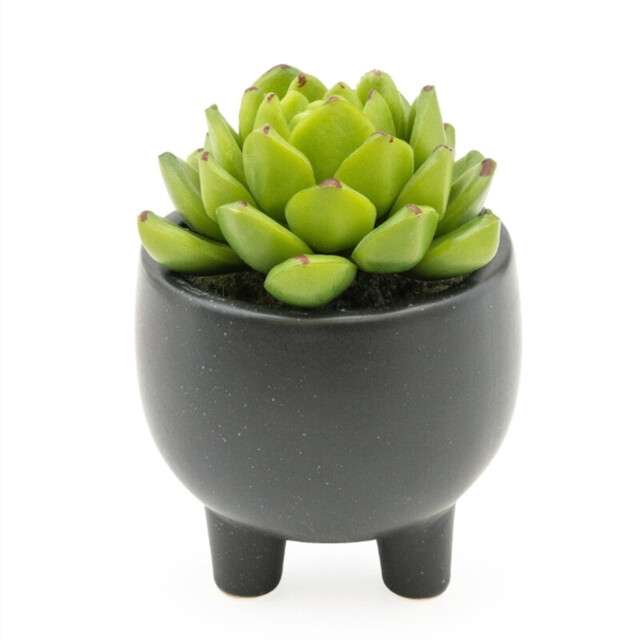 Candlelight Artificial Echeveria Succulent in Ceramic Pot 7.4cm - image 1
