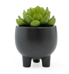 Candlelight Artificial Echeveria Succulent in Ceramic Pot 7.4cm - thumbnail 2