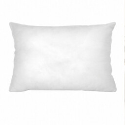 Riva Home Cushion Pad Polyester Filled Rectangle 30x50cm
