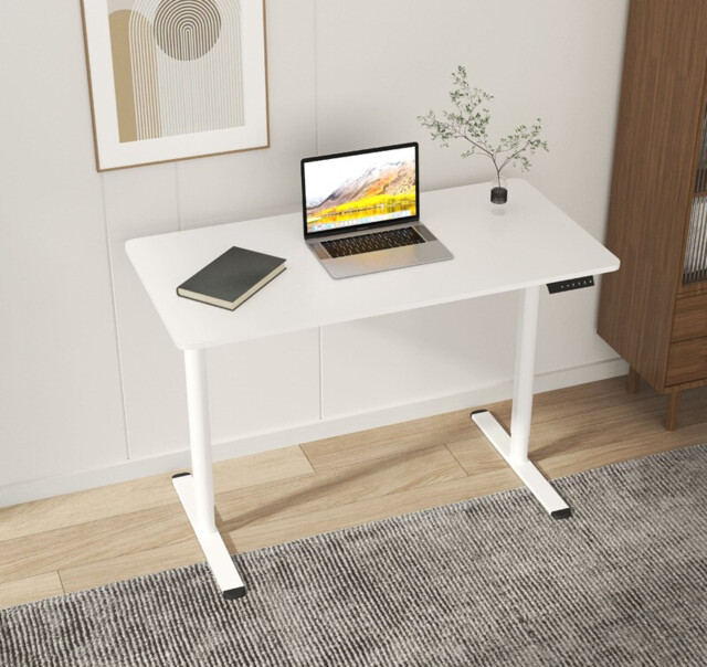 Loctek Ergonomic Standing Seat Stand Desk Lifting Table Electric Height Adjustable Desk 120*60 cm, Super Deals, White