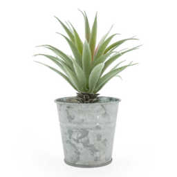 Candlelight Artificial Aloe Plant in Tin Pot 18cm - thumbnail 1