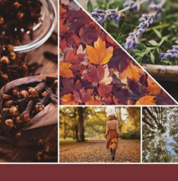 Yankee Candle Signature Jar Autumn Daydream 567g - thumbnail 5