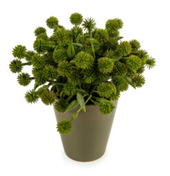Candlelight Artificial Allium Plant in Ceramic Pot Green 20cm - thumbnail 2