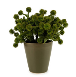 Candlelight Artificial Allium Plant in Ceramic Pot Green 20cm - thumbnail 3