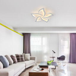 Pheashine   Dimmable LED Ceiling Light Remote Control Flower Shape White for Living Room Bedroom Kitchen Hallway Dining - thumbnail 6