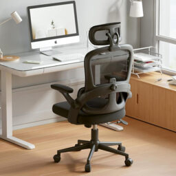SIHOO Ergonomic Mesh Office Chair, High Back Desk Chair with 3D Armrests, Up & Down Lumbar Support, Swivel Computer Task Chair, Black