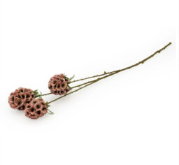 Candlelight Artificial Scabiosa Stellata Flower Stem Pink 61cm - thumbnail 2