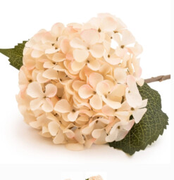 Candlelight Artificial Hydrangea Flower Stem Cream 46cm - thumbnail 2